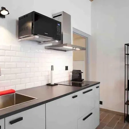 Apartman Lumineux En Centre-ville